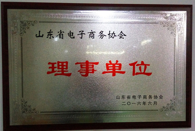 山东省电子商务协会理事单位