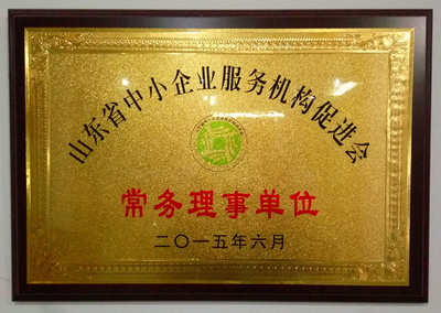 山东省中小企业服务机构促进会常务理事单位